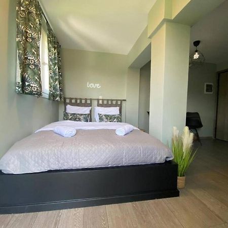 Rooftop Apartment With Garden In Ioánnina Exteriér fotografie