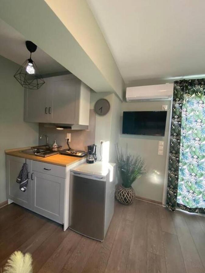 Rooftop Apartment With Garden In Ioánnina Exteriér fotografie